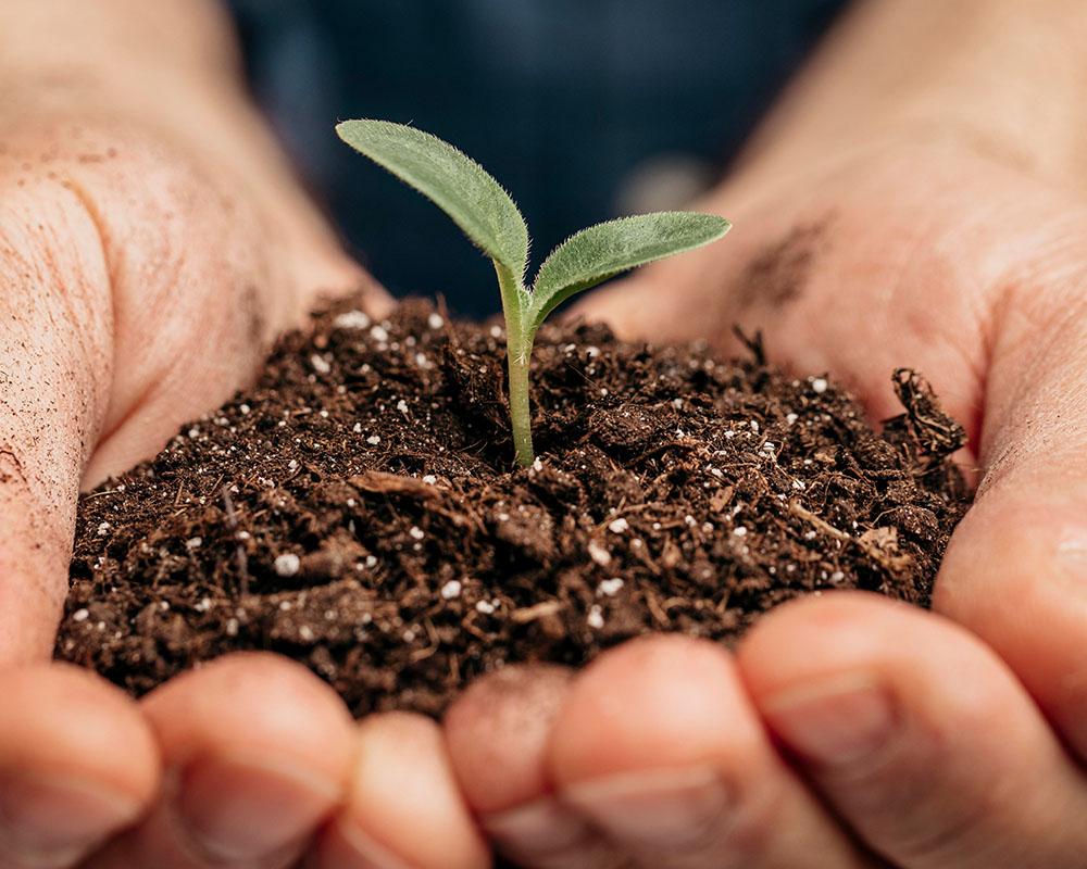 聚能腐殖酸土壤改良剂2号